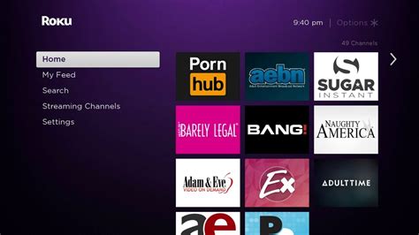 porn for roku|How to watch Porn on Roku (2024)